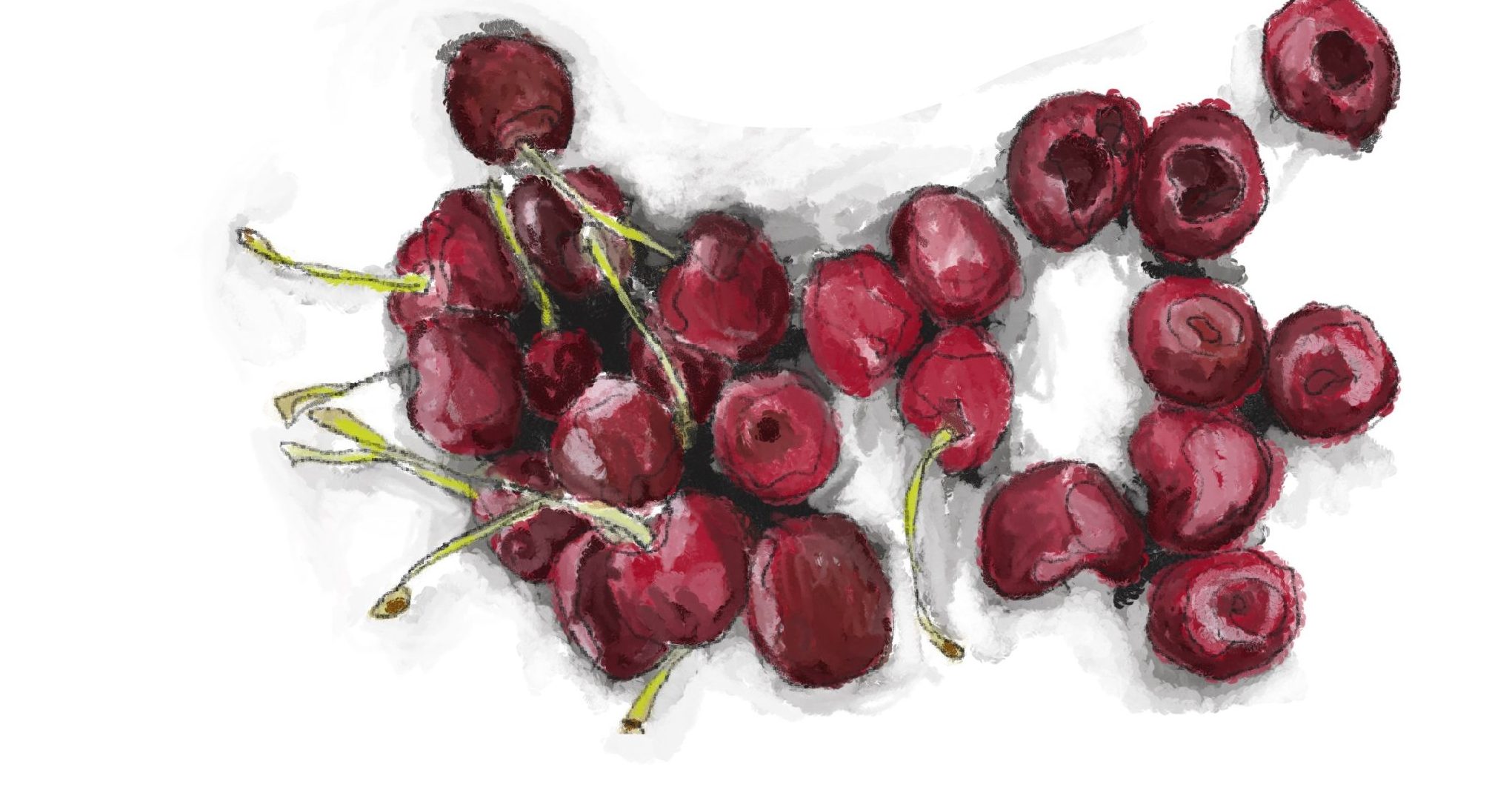Hand-drawn illustration of red cherries. 