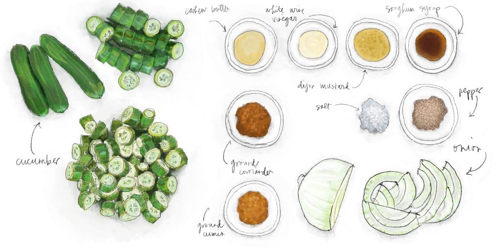 Hand-drawn illustration of ingredients for Cucumber Salad with Mustard Dressing.