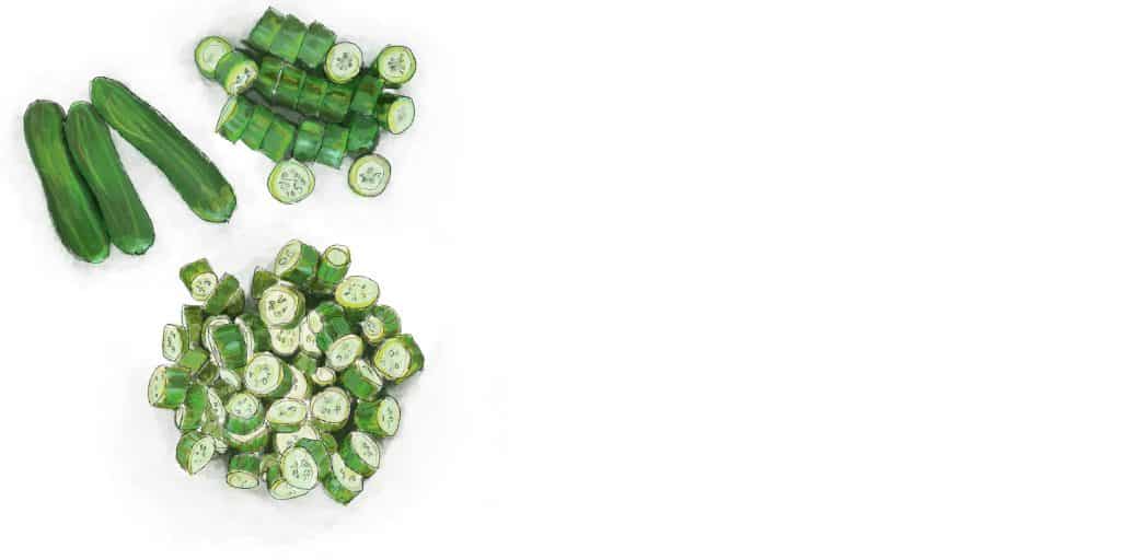 Hand drawn illustration of cucumbers.