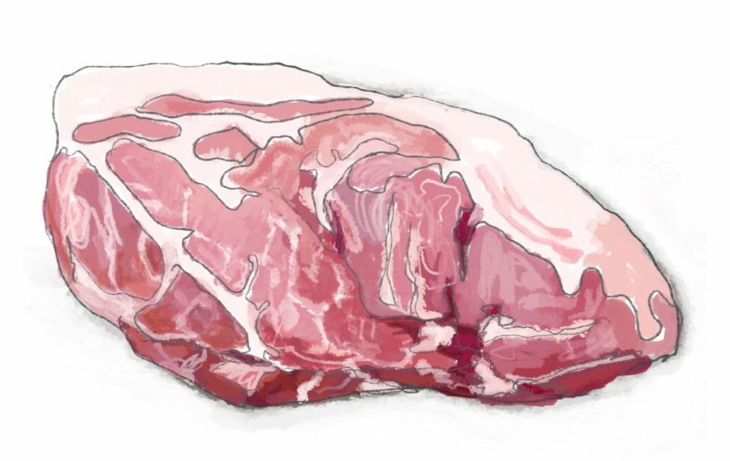 Hand drawn illustration of a large pork shoulder. 
