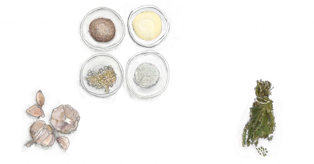 Hand drawn illustration of garlic, herbs, salt, pepper, and oil. 